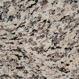 Blanco Perla Granite thumbnail 4