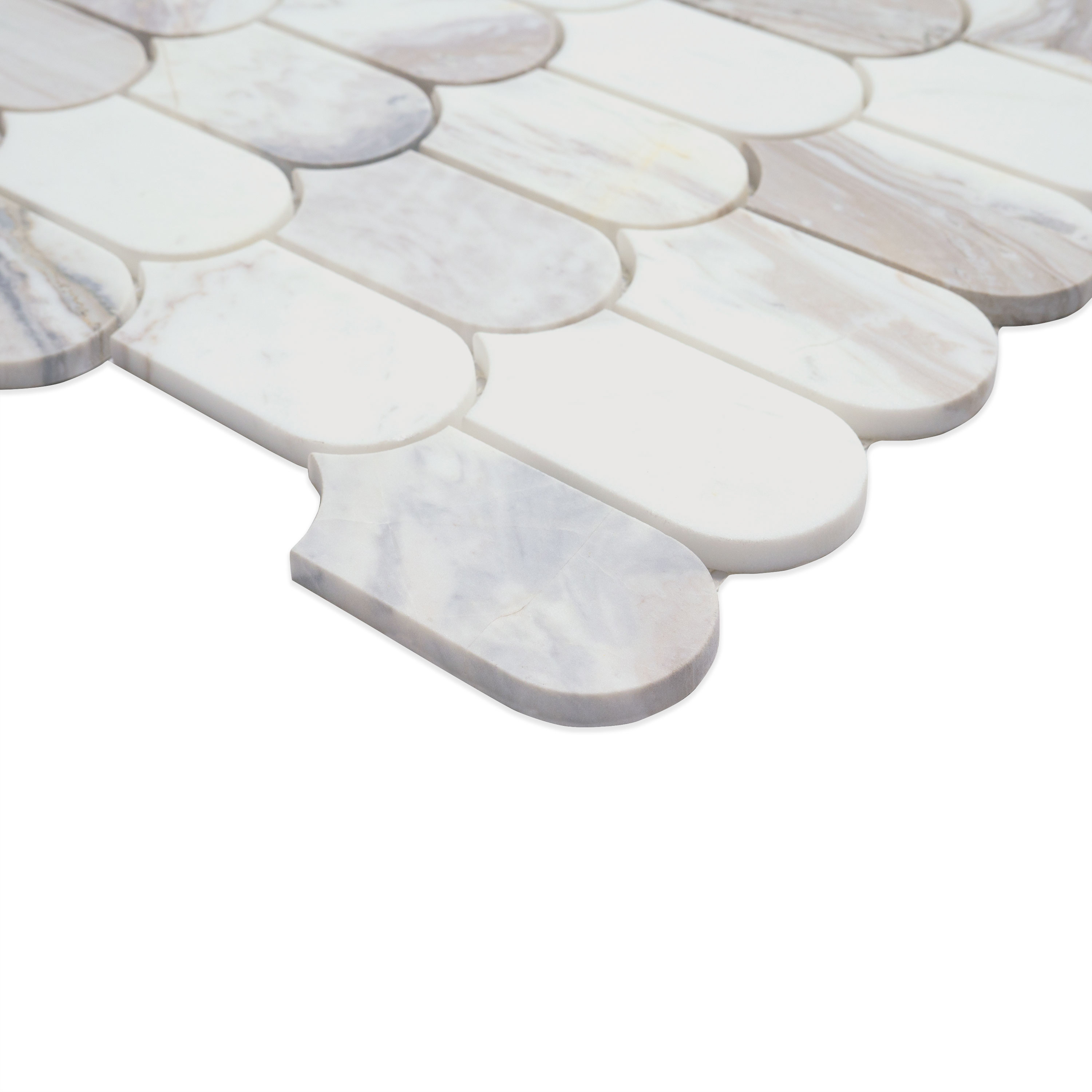 Edessa Scallop Polished Tile thumbnail 4