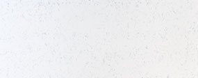 Carrara Lumos ® thumbnail 2