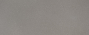 Fossil Gray ® thumbnail 2