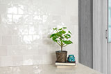 Renzo Dove 5x5 Ceramic Wall Tile thumbnail 4