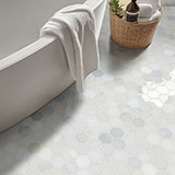 Greecian White Polished Hexagon Tile thumbnail 6