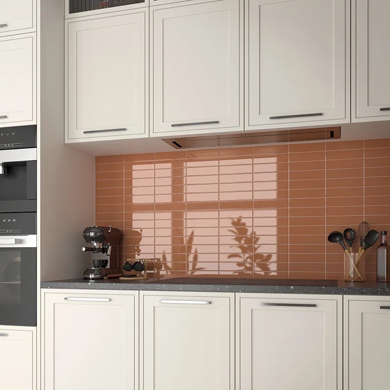 RIDGE TERRA GLOSS thumbnail 2