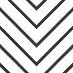 Black And White Strip