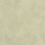 Curiosity Tan
