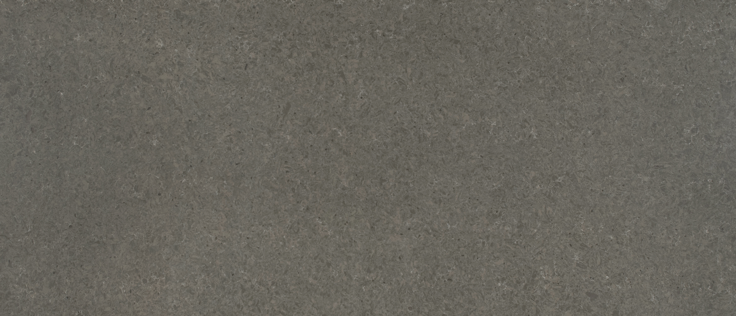 Babylon Gray ®