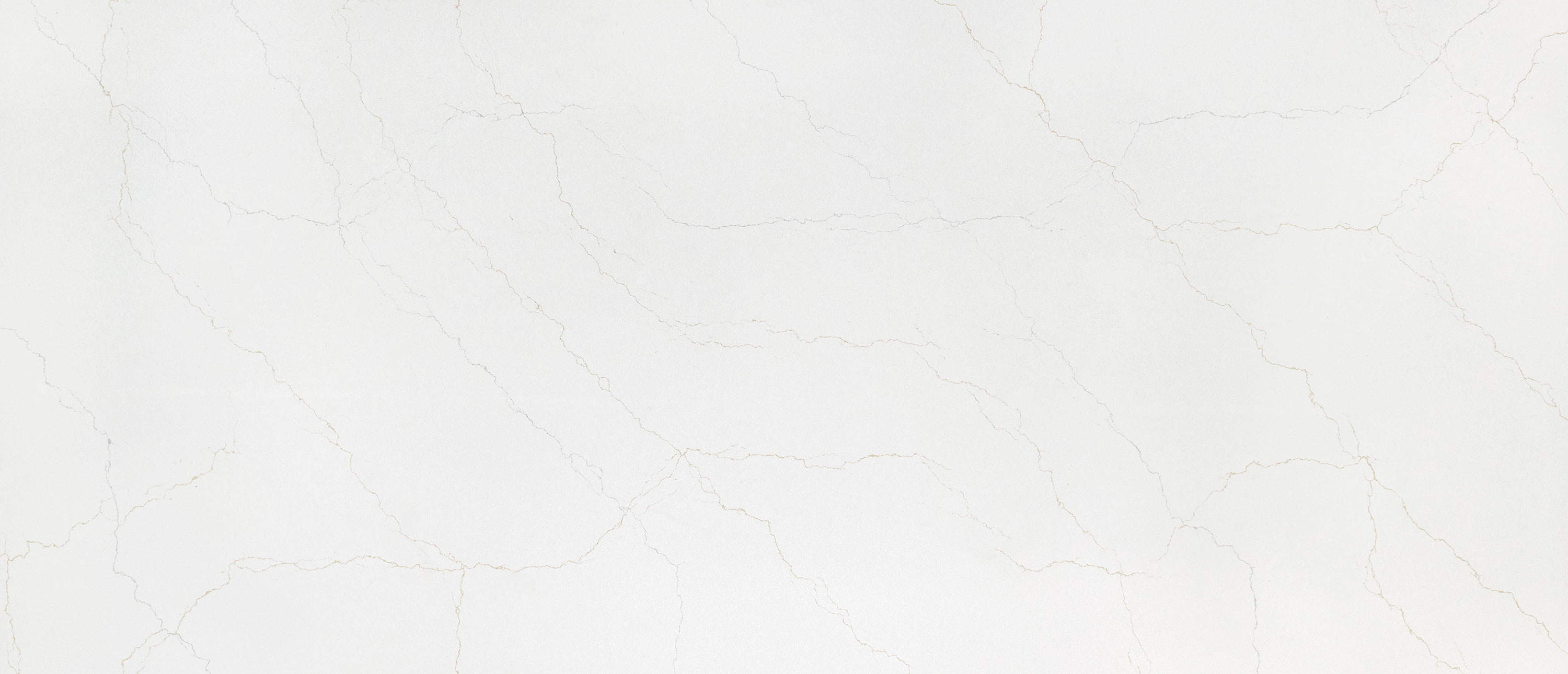 Calacatta Adonia ™