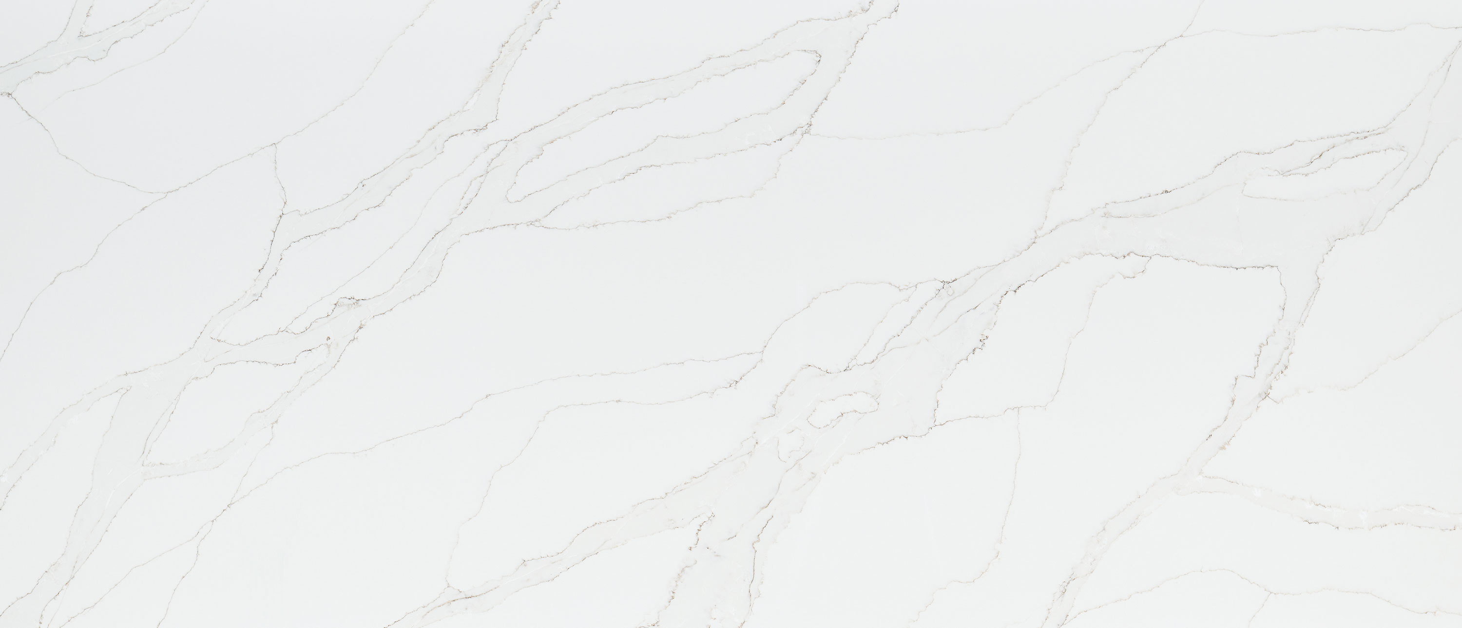 Calacatta Izaro ®