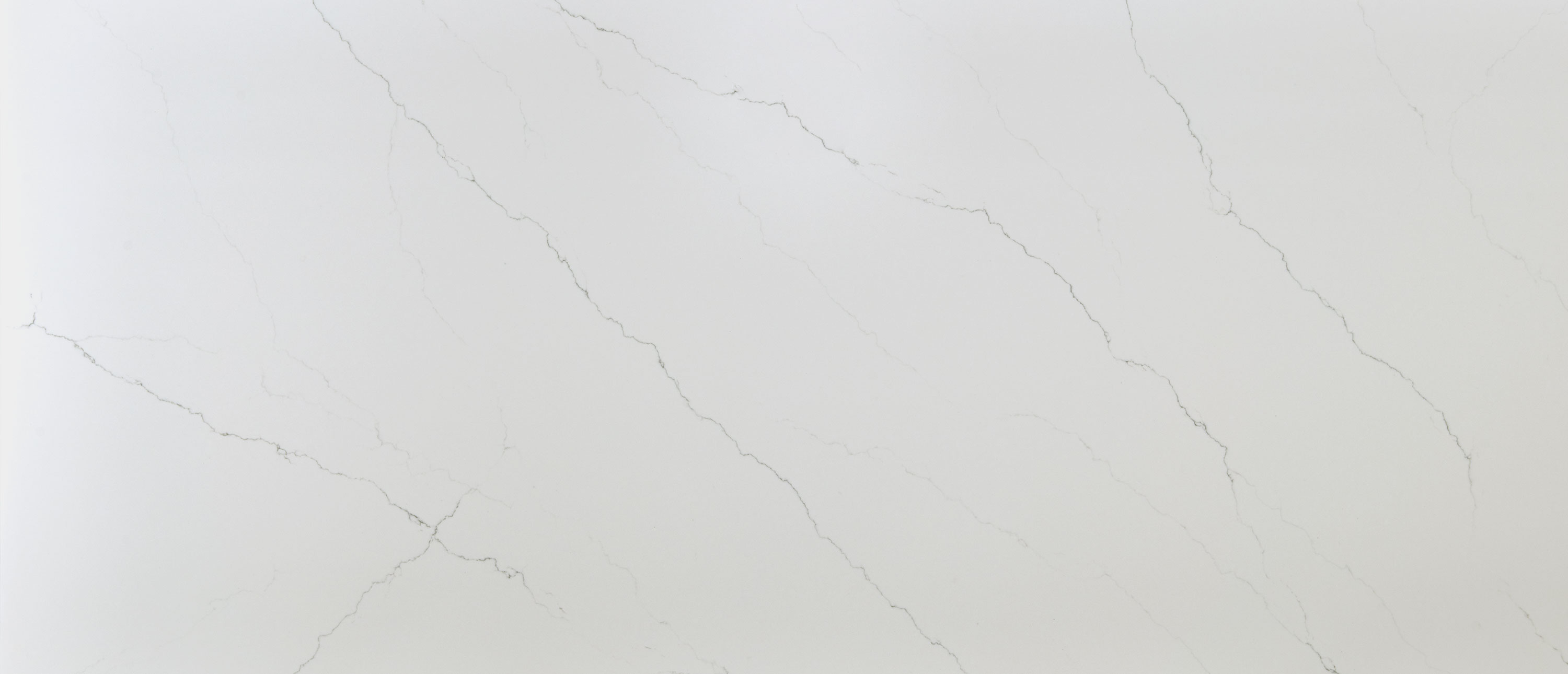 Calacatta Miraggio Honed ®