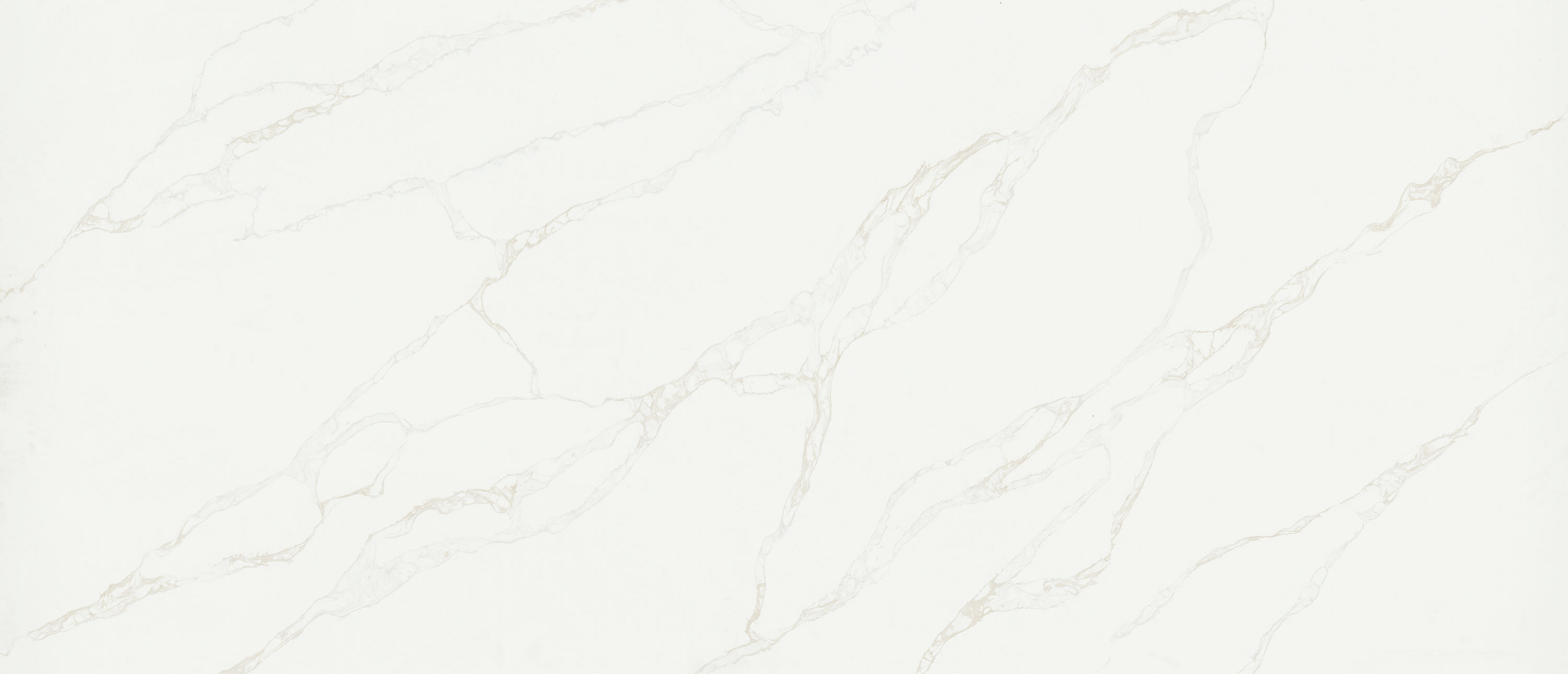 Calacatta Rivessa ™
