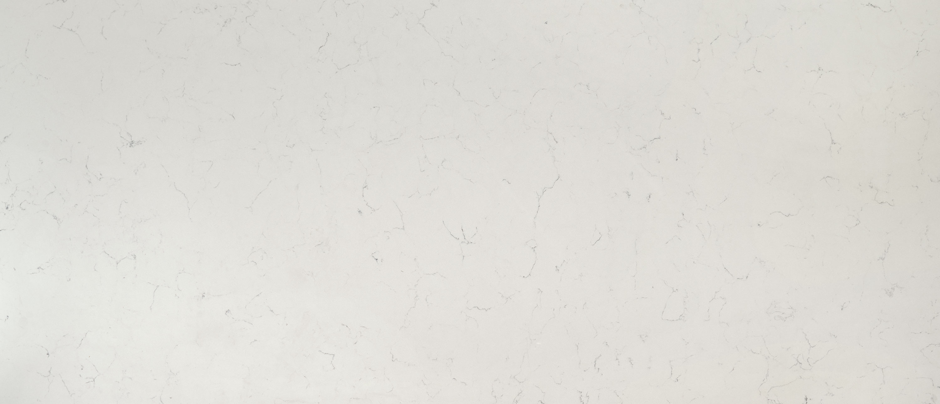 Carrara Delphi ™
