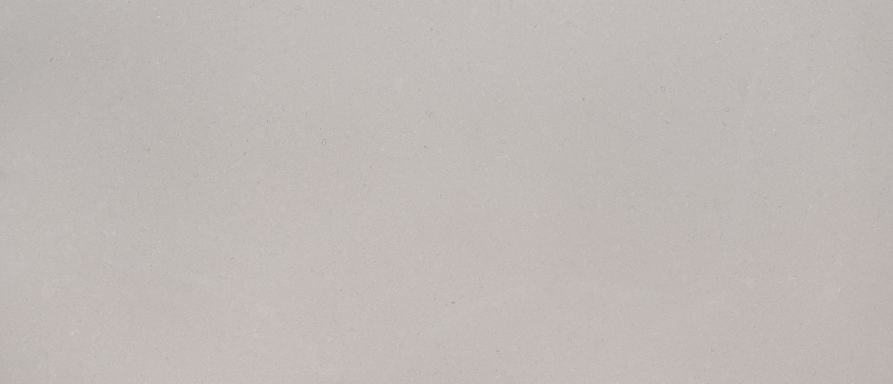 Fossil Gray ® - Matte Finish