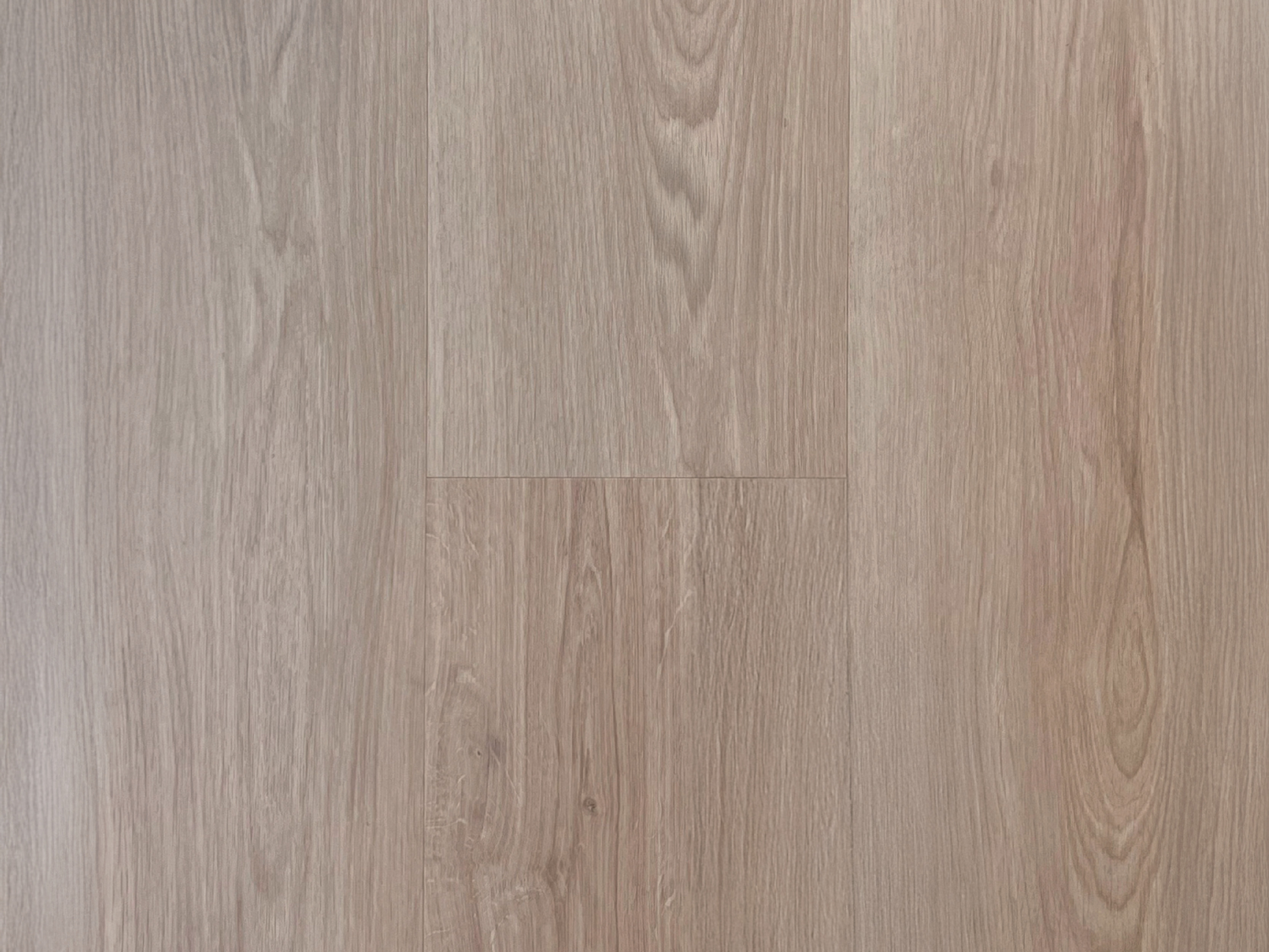 Cedar