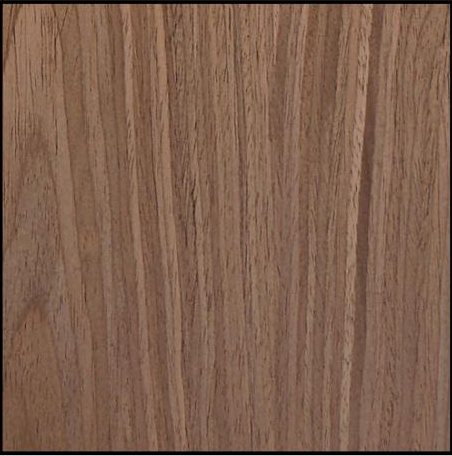 Echo Wood PS Walnut cabinet door