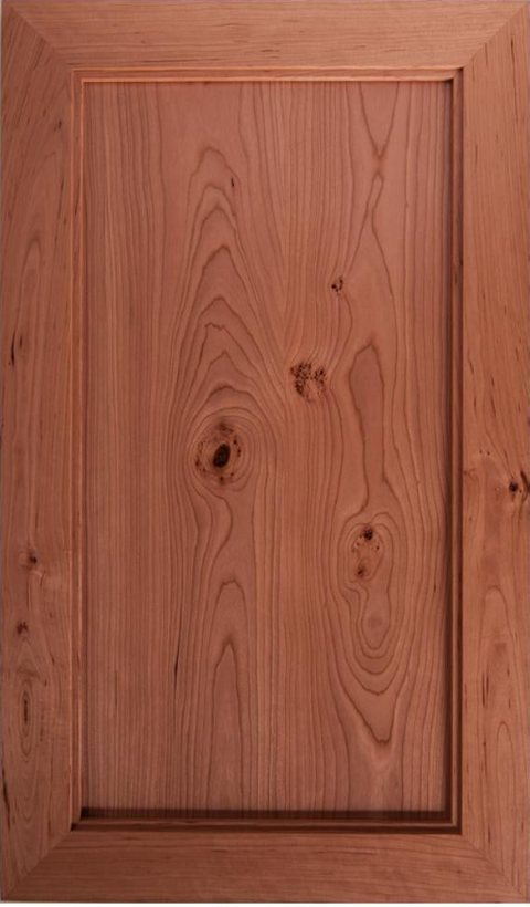 Mitered #21 Inset cabinet door style